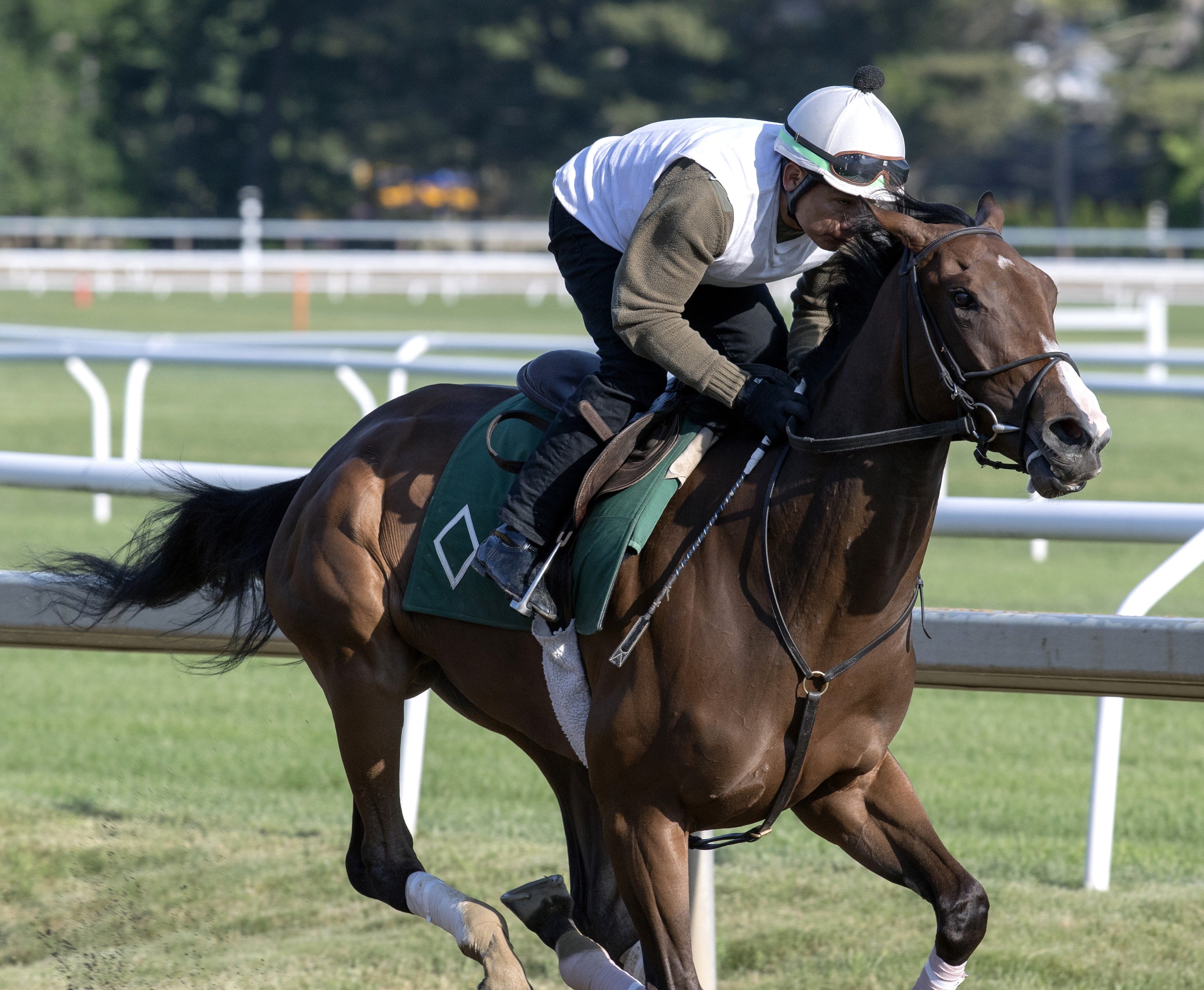 Weekend GamePlan Picks for Belmont Oaks, Delaware Oaks, Hendrie